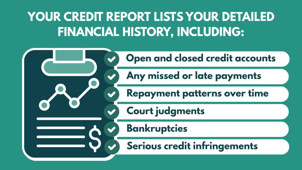 Credit Report Financial History